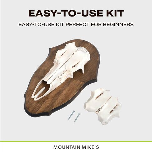 مجموعة جبل قرن الوعل في الغابة السوداء من ماونتن مايك in Kuwait