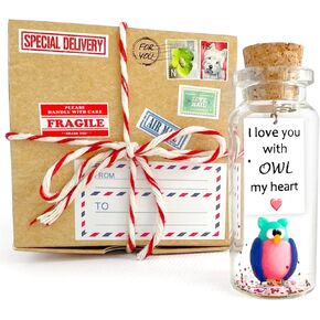 Kseniya Revta Cute Girlfriend and Boyfriend Gifts - Personalized Anniversary Present for Her Him - Custom Photo Birthday Gift Bottle (Green Dino - Rawr Means I Love You in Dinosaur, Gift Bottle) in Kuwait