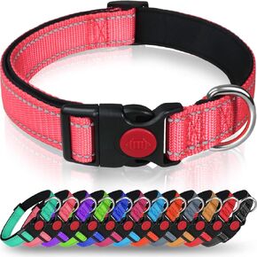 Taglory Reflective Dog Collar with Safety Locking Buckle, Adjustable Nylon Pet Collars for Puppy Dogs Female Male, XS, Baby Pink