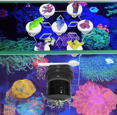 Saricho Coral frag Magnetic Holder,Magnetic Coral frag Rack，Magnetic Coral frag Plug Holder, The Large Magnetic Coral frag Holder Set with 19 Coral frag Plug Ceramic Bases in Saudi Arabia