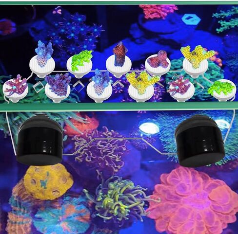 Coral frag Magnetic Holder, Magnetic Coral frag Plug Holder，Magnetic Coral frag Holder,Magnetic Coral frag Rack，The Small Magnetic Coral frag Rack Set with 7 Coral frag Plug Ceramic Bases in Kuwait