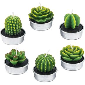 Handmade Delicate Succulent Cactus Candles for Birthday Party Wedding Spa Home Decoration(6 Packs-1) in Saudi Arabia