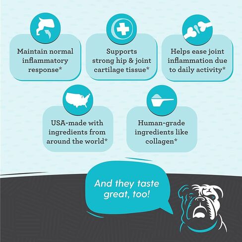 مكمل الورك والمفاصل للكلاب، 33% أكثر، 120 قطعة مضغ ناعمة للحركة، جلوكوزامين كوندرويتين، كولاجين، كركم، حمض الهيالورونيك، بذور الكتان، فيتامين C وE، للسلالات الصغيرة والكبيرة، يوصى به من قبل الطبيب البيطري in Kuwait