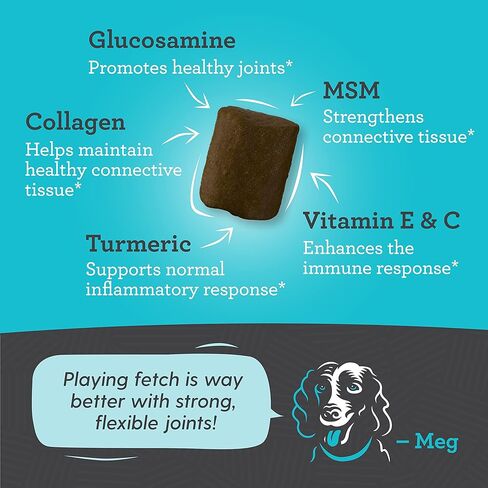 مكمل الورك والمفاصل للكلاب، 33% أكثر، 120 قطعة مضغ ناعمة للحركة، جلوكوزامين كوندرويتين، كولاجين، كركم، حمض الهيالورونيك، بذور الكتان، فيتامين C وE، للسلالات الصغيرة والكبيرة، يوصى به من قبل الطبيب البيطري in Kuwait