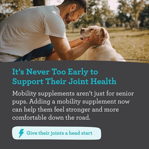 مكمل الورك والمفاصل للكلاب، 33% أكثر، 120 قطعة مضغ ناعمة للحركة، جلوكوزامين كوندرويتين، كولاجين، كركم، حمض الهيالورونيك، بذور الكتان، فيتامين C وE، للسلالات الصغيرة والكبيرة، يوصى به من قبل الطبيب البيطري in Kuwait