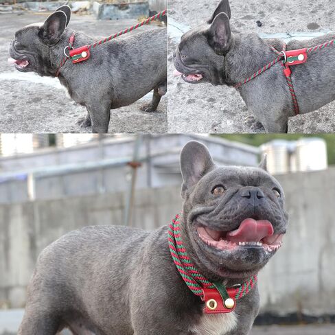 Walktime، مقود الكلب المنزلق، طقم حزام ومقود للكلاب للمشي - طوق الرأس مع مقود حبل للسحب - وشاح للكلب DIY in Kuwait