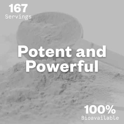 Purisure Alpha GPC 50% Powder, 100 g, Pure Alpha GPC Choline Supplement for Brain and Focus, CDP Choline Supplements for Memory Performance & Concentration, No Fillers, Non-GMO, Offers 167 Servings in Kuwait