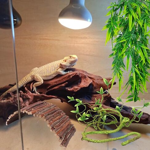 Grddaef Bearded Dragon Tank Accessories, Reptile Hideout Bridge Climbing Plants & Jungle Vines and Leaves Terrarium Decoration for Lizard Frog Snake Gecko Hermit Crab Chameleon in Kuwait