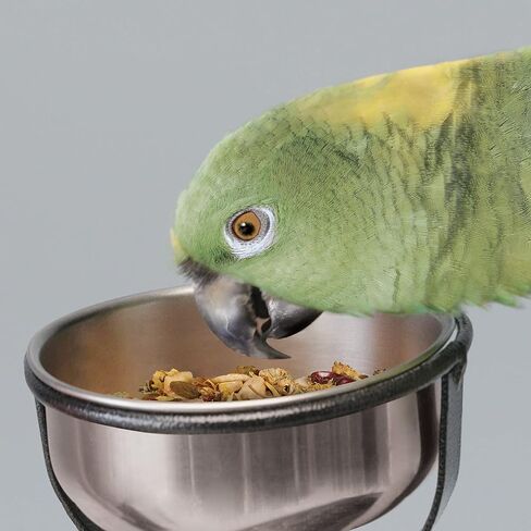 Kaytee Food From The Wild Natural Pet Bird Snack Food Treats For Conures, Pionus, Amazon Parrots, African Greys, Eclectus, Macaws, and Cockatoos, 3 oz. in Saudi Arabia
