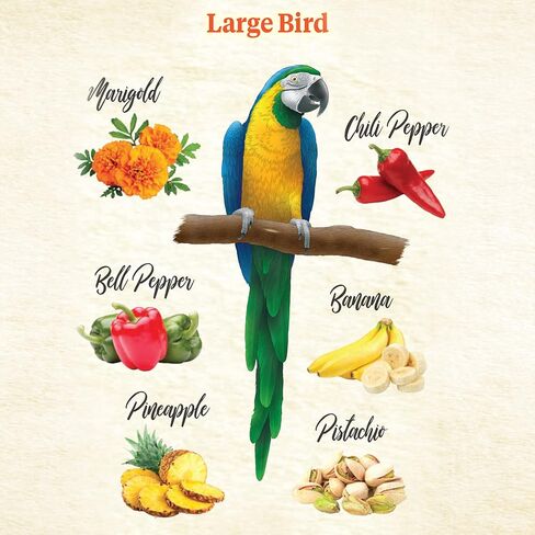 Kaytee Food From The Wild Natural Pet Bird Snack Food Treats For Conures, Pionus, Amazon Parrots, African Greys, Eclectus, Macaws, and Cockatoos, 3 oz. in Saudi Arabia