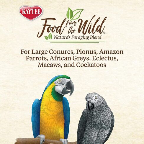 Kaytee Food From The Wild Natural Pet Bird Snack Food Treats For Conures, Pionus, Amazon Parrots, African Greys, Eclectus, Macaws, and Cockatoos, 3 oz. in Saudi Arabia