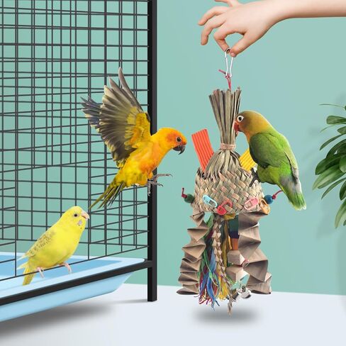 Bissap Bird Chew Toy in Kuwait