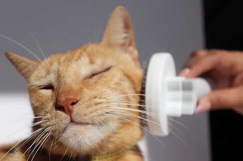 PURRR-LUV Cat Brush with release button - Cat brush for shedding, Soft cat brush, Furminator for cats, Shedding brush, Cat brush for short hair, Cat massager, No more tangles and loose hair. in Saudi Arabia