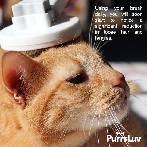PURRR-LUV Cat Brush with release button - Cat brush for shedding, Soft cat brush, Furminator for cats, Shedding brush, Cat brush for short hair, Cat massager, No more tangles and loose hair. in Saudi Arabia