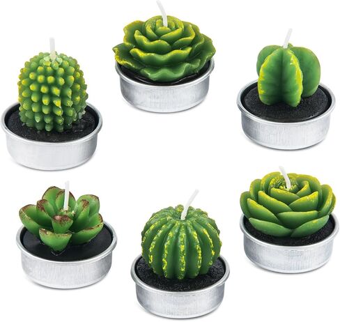 Handmade Delicate Succulent Cactus Candles for Birthday Party Wedding Spa Home Decoration(6 Packs-1) in Saudi Arabia