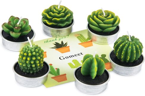 Handmade Delicate Succulent Cactus Candles for Birthday Party Wedding Spa Home Decoration(6 Packs-1) in Saudi Arabia
