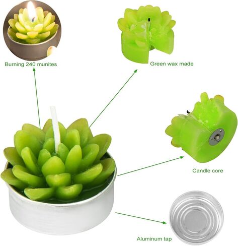 Handmade Delicate Succulent Cactus Candles for Birthday Party Wedding Spa Home Decoration(6 Packs-1) in Saudi Arabia