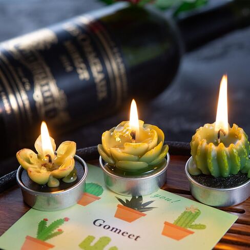 Handmade Delicate Succulent Cactus Candles for Birthday Party Wedding Spa Home Decoration(6 Packs-1) in Saudi Arabia