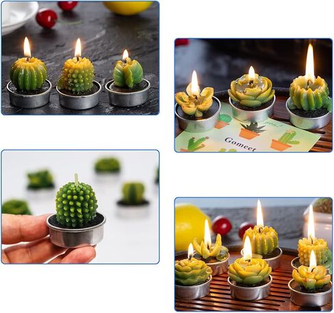 Handmade Delicate Succulent Cactus Candles for Birthday Party Wedding Spa Home Decoration(6 Packs-1) in Saudi Arabia