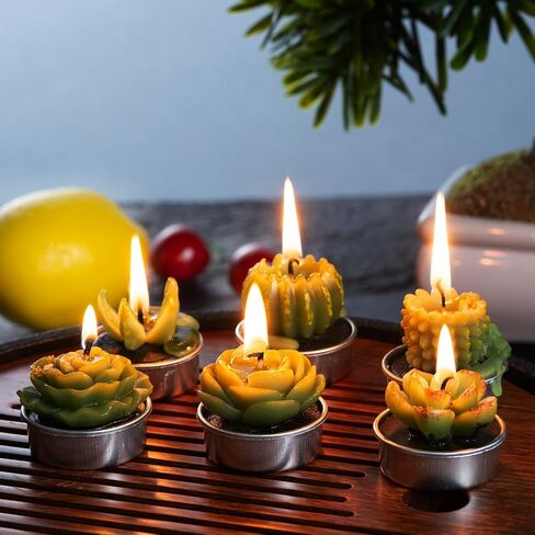 Handmade Delicate Succulent Cactus Candles for Birthday Party Wedding Spa Home Decoration(6 Packs-1) in Saudi Arabia