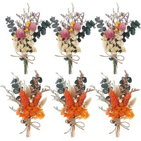 أودي_6 تي اكس دي باقة زهور مجففة من 6 قطع، زهور بوهو المجففة للديكور، باقة زهور مجففة صغيرة، صندوق هدايا وصيفات العروس، زهور مجففة لتزيين الطاولة المركزية والكيك والزجاجات in Kuwait
