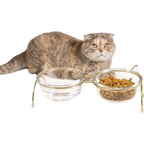 مجموعة أوعية الطعام والماء للقطط من Qucey، أوعية القطط المرتفعة للطعام والماء، أوعية زجاجية مرتفعة للحيوانات الأليفة مع حامل، وعاء للقطط والكلاب سعة 17 أونصة، مضاد للقيء، آمن للاستخدام في غسالة الأطباق in Kuwait