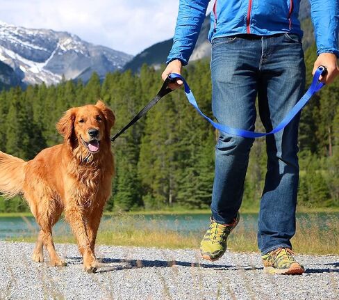 Leash Boss Original - Heavy Duty Dog Leash for Large Dogs - No Pull Double Handle Training Lead for Walking Big Dogs - Dog Leashes with Padded Handle for Control and Safety (Classic Black) in Kuwait