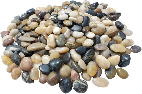 SINYUM 5 Pounds Aquarium Gravel River Rock - Natural Polished Decorative Gravel, Small Decorative Pebbles, Mixed Color Stones,for Aquariums, Landscaping, Vase Fillers in Kuwait