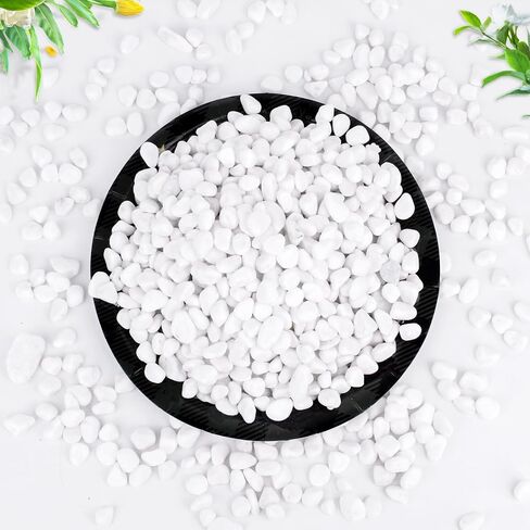 WHANLEY L&Q 2 LB Matte Gravel,Natural White River Rocks(0.4~0.8 Inches) White Gravel,Vase Filling Stone,Pea Gravel,Rocks,Decorative Stones,Small Rocks,White Gravel for Fish Tank,Gravel,Rock Garden in Saudi Arabia