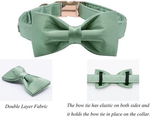 طوق الكلب Lionet Paws Bowtie - طوق كلب مريح باللون الأخضر الحريري مع ربطة عنق قابلة للفصل للكلاب الكبيرة جدًا، رقبة 16-26 بوصة in Kuwait