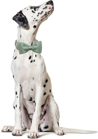 طوق الكلب Lionet Paws Bowtie - طوق كلب مريح باللون الأخضر الحريري مع ربطة عنق قابلة للفصل للكلاب الكبيرة جدًا، رقبة 16-26 بوصة in Kuwait