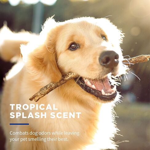 ويت وانز للحيوانات الأليفة مناديل مبللة للكلاب متعددة الأغراض لإزالة الروائح الكريهة مع صودا الخبز، عدد 50 - 3 عبوات| مناديل مبللة لإزالة الروائح الكريهة للكلاب برائحة استوائية، مناديل مبللة لإزالة الروائح الكريهة للكلاب in Kuwait