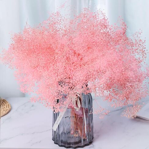 مجموعة زهور صغيرة مجففة بيبي بريث - اكثر من 2500 باقة زهور جيبسوفيلا الجافة (1.4 اونصة)، فروع زهور بيبي بريث محفوظة طبيعية 100% لحفلات الزفاف والحرف اليدوية والمزهريات وترتيب الزهور (بينك) in Kuwait