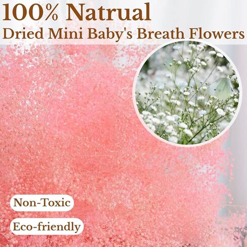 مجموعة زهور صغيرة مجففة بيبي بريث - اكثر من 2500 باقة زهور جيبسوفيلا الجافة (1.4 اونصة)، فروع زهور بيبي بريث محفوظة طبيعية 100% لحفلات الزفاف والحرف اليدوية والمزهريات وترتيب الزهور (بينك) in Kuwait