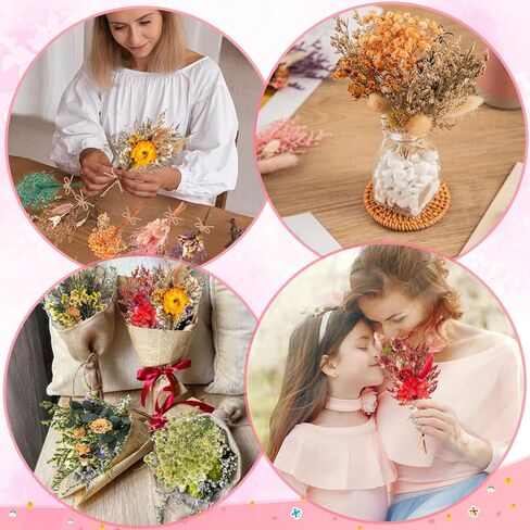 20 قطعة من الزهور المجففة الصغيرة للحرف اليدوية، زهور مجففة مع سيقان للحرف اليدوية، ديكور حفلات الزهور البرية لهدايا دعائم الصور التي تصنعها بنفسك in Kuwait