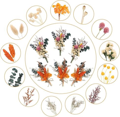 أودي_6 تي اكس دي باقة زهور مجففة من 6 قطع، زهور بوهو المجففة للديكور، باقة زهور مجففة صغيرة، صندوق هدايا وصيفات العروس، زهور مجففة لتزيين الطاولة المركزية والكيك والزجاجات in Kuwait