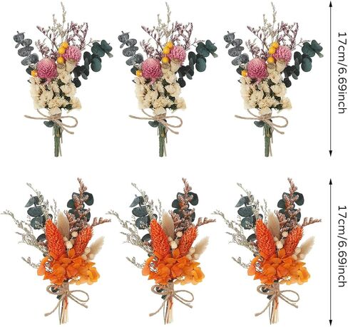 أودي_6 تي اكس دي باقة زهور مجففة من 6 قطع، زهور بوهو المجففة للديكور، باقة زهور مجففة صغيرة، صندوق هدايا وصيفات العروس، زهور مجففة لتزيين الطاولة المركزية والكيك والزجاجات in Kuwait