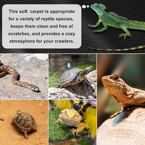 ركيزة التنين الملتحي، ملحقات خزان سجاد تررم الزواحف، بطانة أرضية لتدفئة سرير التنين الملتحي غير لاصقة للفهد أبو بريص، السحلية، الإغوانا، الثعبان، السلحفاة مع ملاقط ومسطرة in Kuwait