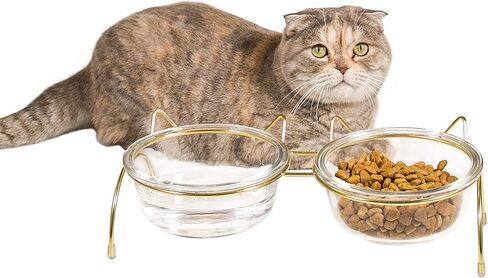 مجموعة أوعية الطعام والماء للقطط من Qucey، أوعية القطط المرتفعة للطعام والماء، أوعية زجاجية مرتفعة للحيوانات الأليفة مع حامل، وعاء للقطط والكلاب سعة 17 أونصة، مضاد للقيء، آمن للاستخدام في غسالة الأطباق in Kuwait