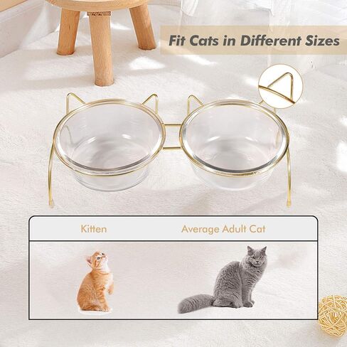 مجموعة أوعية الطعام والماء للقطط من Qucey، أوعية القطط المرتفعة للطعام والماء، أوعية زجاجية مرتفعة للحيوانات الأليفة مع حامل، وعاء للقطط والكلاب سعة 17 أونصة، مضاد للقيء، آمن للاستخدام في غسالة الأطباق in Kuwait