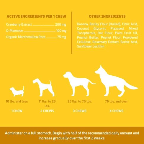 دعم POINTPET النباتي للكلاب - D-Mannose، التوت البري والخطمي العضوي - يعزز صحة المثانة المثلى ووظيفة المسالك البولية المثالية - 90 مضغ ناعم بنكهة زبدة الفول السوداني والموز in Kuwait