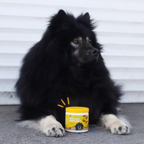 دعم POINTPET النباتي للكلاب - D-Mannose، التوت البري والخطمي العضوي - يعزز صحة المثانة المثلى ووظيفة المسالك البولية المثالية - 90 مضغ ناعم بنكهة زبدة الفول السوداني والموز in Kuwait