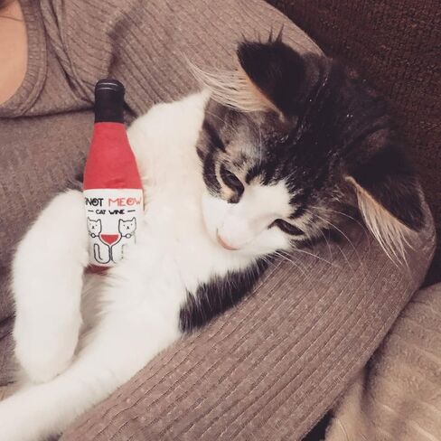 مجموعة قطط PWS Cat Wine Pawty القطيفة من Catnip CatWine للقطط والقطط الصغيرة (Pinot Meow + Moscato)، أحمر in Kuwait