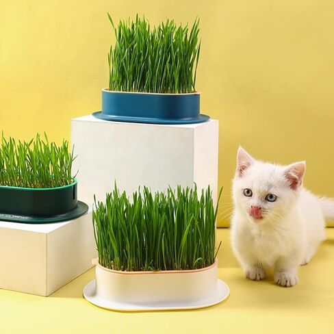 Zerodeko 3pcs Cat Grass Planter Plastic Catnip Cat Grass Box Soil Free Nursery Cat Plant for Indoor or Outdoor Cat Dogs and Other Pets in Kuwait