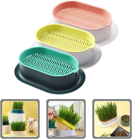 Zerodeko 3pcs Cat Grass Planter Plastic Catnip Cat Grass Box Soil Free Nursery Cat Plant for Indoor or Outdoor Cat Dogs and Other Pets in Kuwait