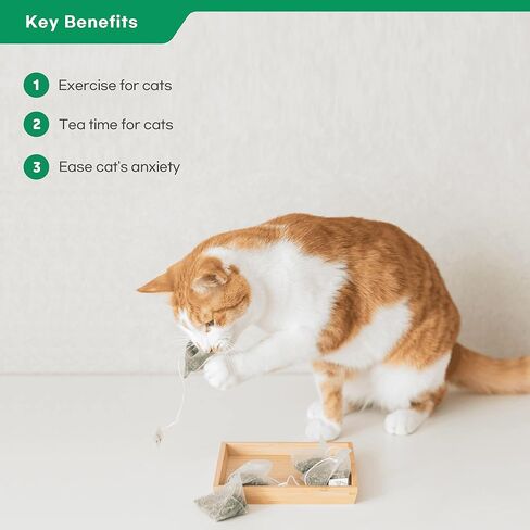 جورونج كيس شاي فاخر بالنعناع البري 13EA للقطط والقطط في الاماكن المغلقة والمفتوحة، طبيعي وآمن وغني بقرض عالي الفعالية، يحسن من استهلاك الماء للقطط in Kuwait