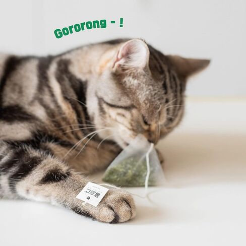 جورونج كيس شاي فاخر بالنعناع البري 13EA للقطط والقطط في الاماكن المغلقة والمفتوحة، طبيعي وآمن وغني بقرض عالي الفعالية، يحسن من استهلاك الماء للقطط in Kuwait