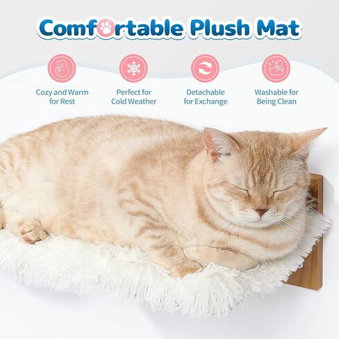 عمود خدش القطط من Made4Pets للجدار، شجرة القطط المثبتة على الحائط للقطط الداخلية، أرجوحة القطط المثبتة على الحائط، أرفف حائط القطط العائمة مع حصيرة خدش السيزال، 3 خطوات تسلق نافذة القطط الصغيرة in Kuwait