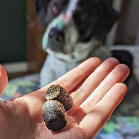 Hemp Well Calm Soft Chews for Dogs, Organic Stress Relief for Pets, 60ct in Saudi Arabia