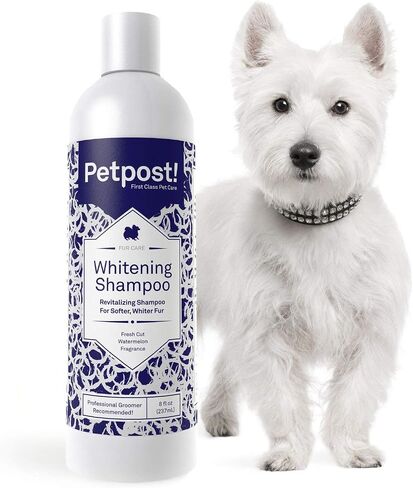 Petpost | Dog Whitening Shampoo - Best Lightening Treatment for Dogs with White Fur - Soothing Watermelon Scent - Maltese, Shih Tzu, Bichon Frise Approved - 8 oz. (8 Ounce) in Kuwait